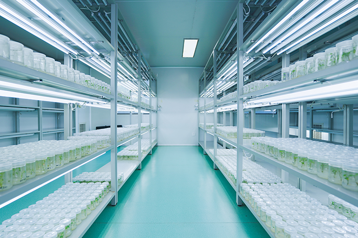 1693548705443313.jpg 育苗培育.jpg